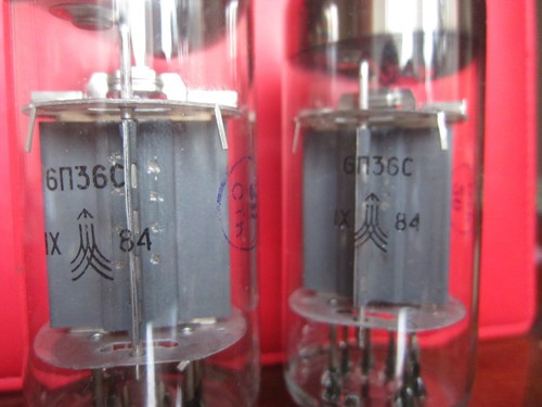 6p36s tetrodo - 6p36s,